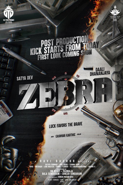 Zebra 2024 Hindi Dual Audio WEB-DL 720p – 1080p